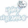 Bundle LC States - 50 Lowercase Script State Names Applique, State Name Raggy Applique, Lowercase State in Script, State Home Design Download – Digital Download Machine Embroidery File - Image 32